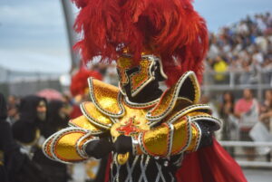 Imagens revelam detalhes do desfile dos Gaviões