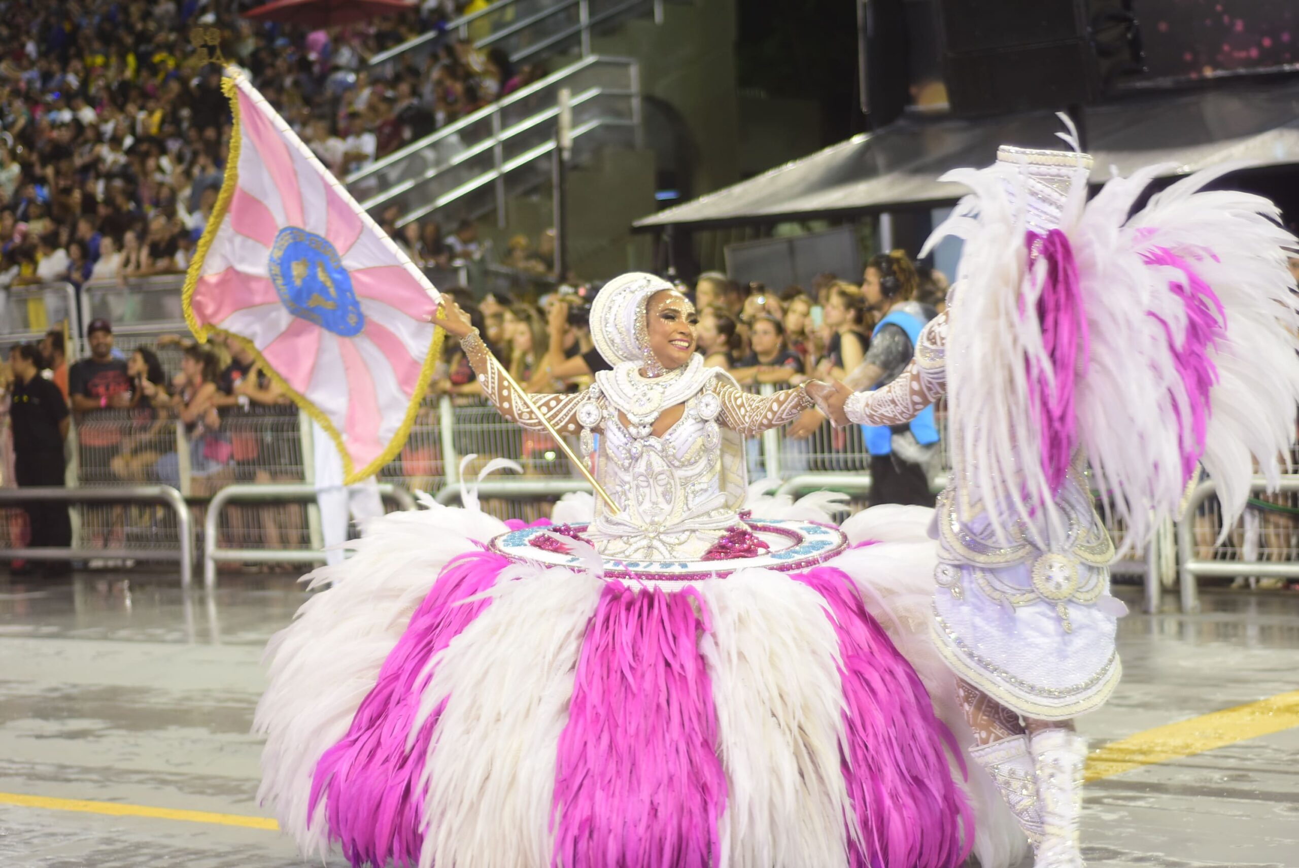 Read more about the article Carnaval 2024: Rosas fará um ‘passeio pelo Ibirapuera’