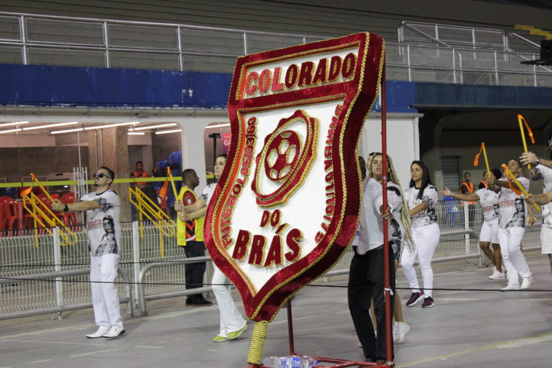 Read more about the article Filhos de Gandhy ganha samba-enredo no Carnaval de SP