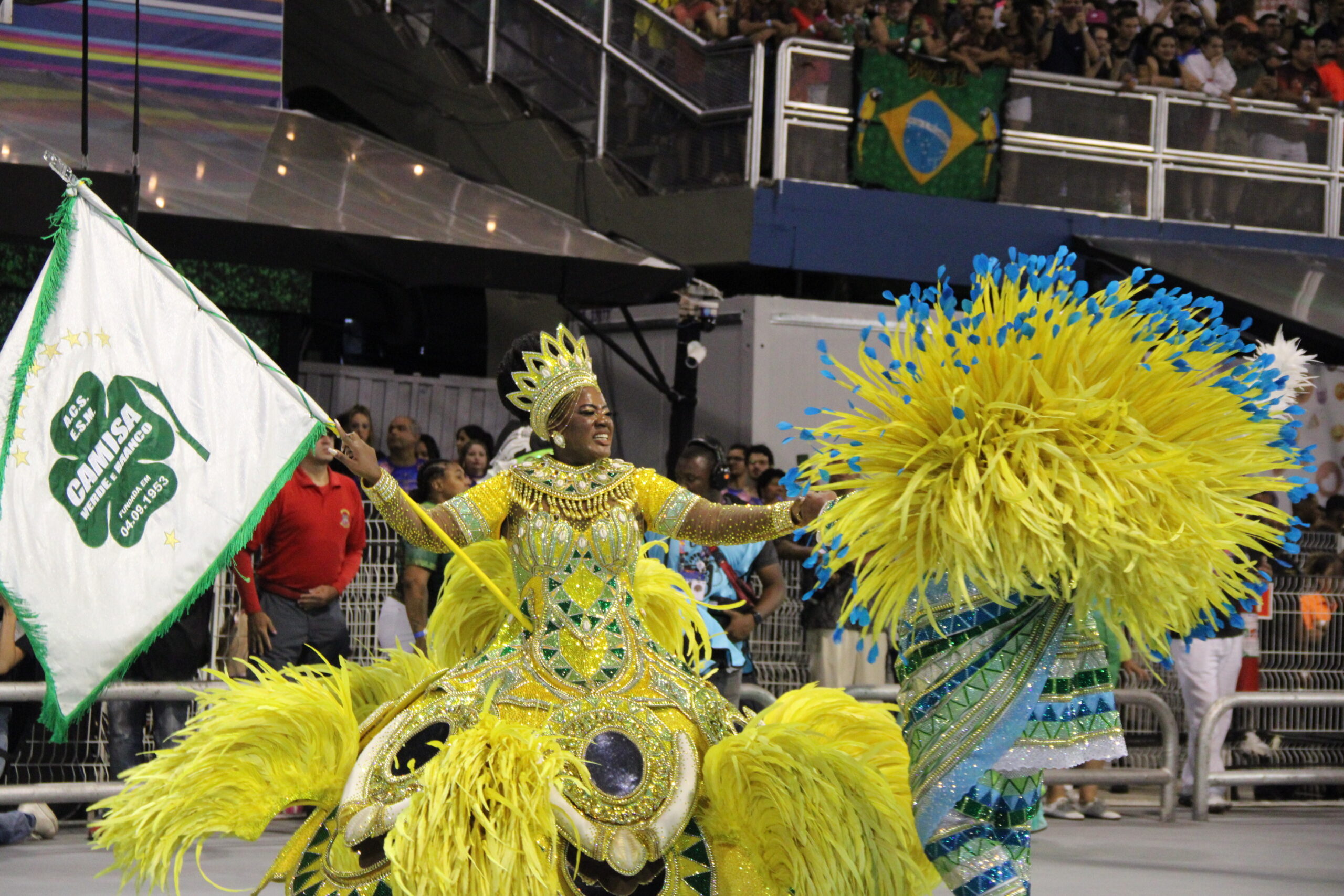 Read more about the article Cazuza ganha samba-enredo do Camisa Verde e Branco